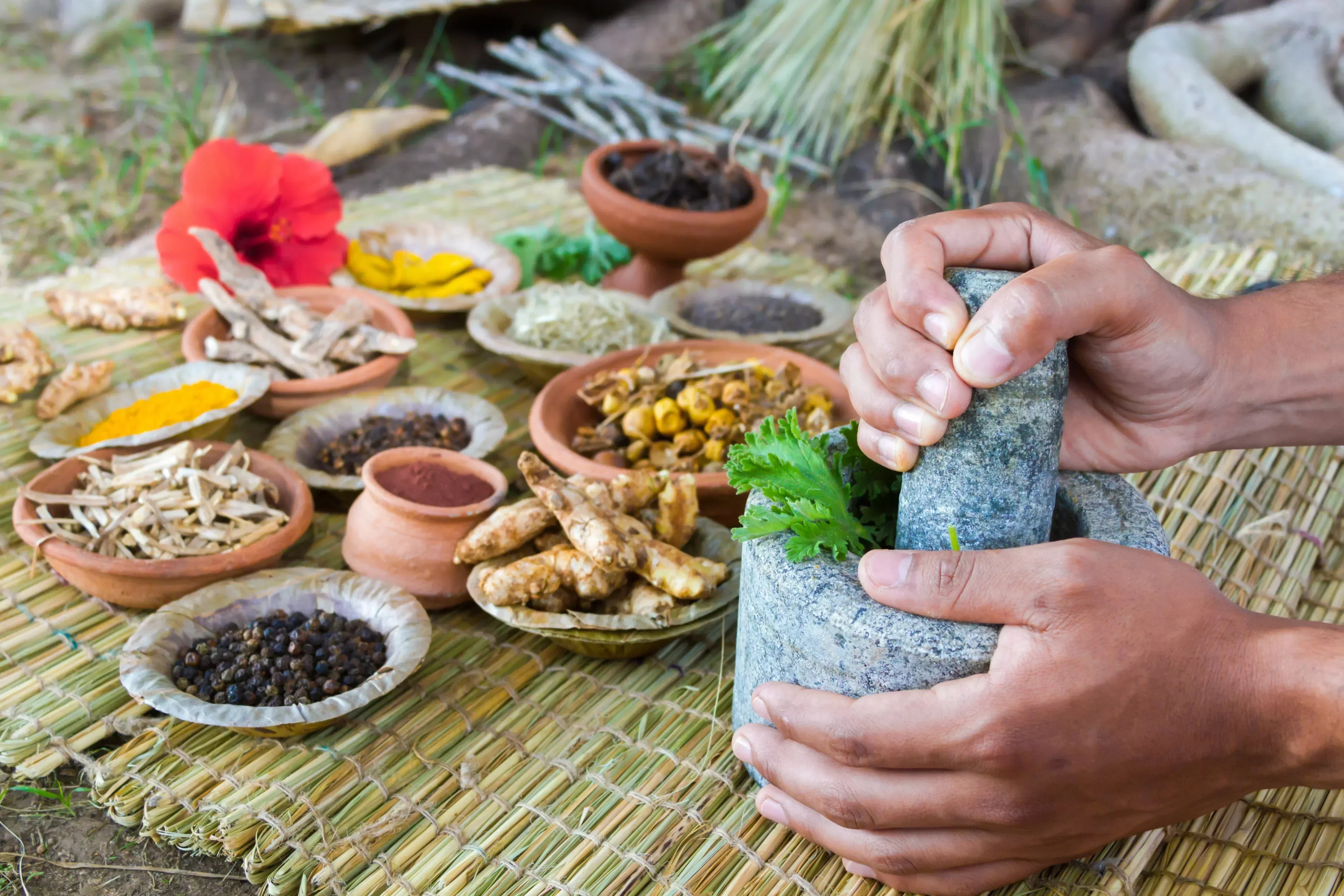 Ayurveda vs Modern Medicine: Key Differences Explained