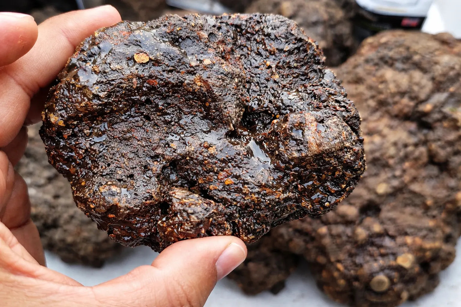 How Our Shilajit is Sourced from the Himalayas — From Rock to Bottle